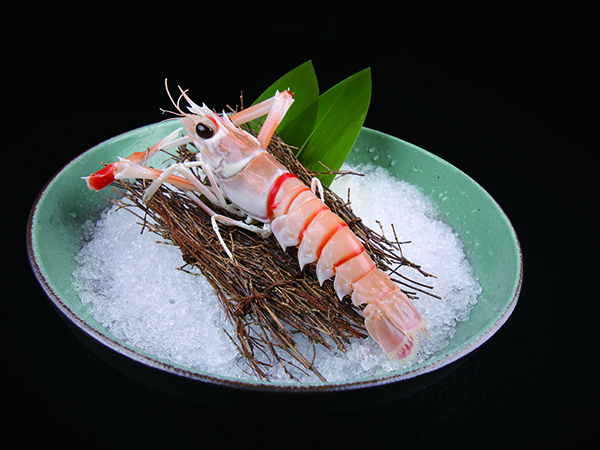鰲蝦