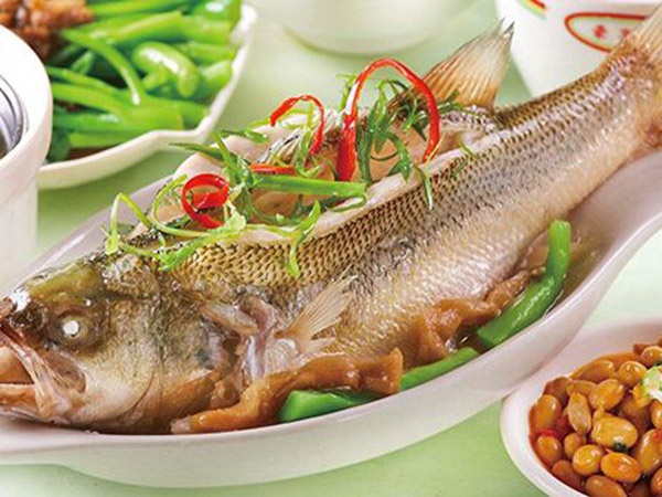 覓奇海鱸魚