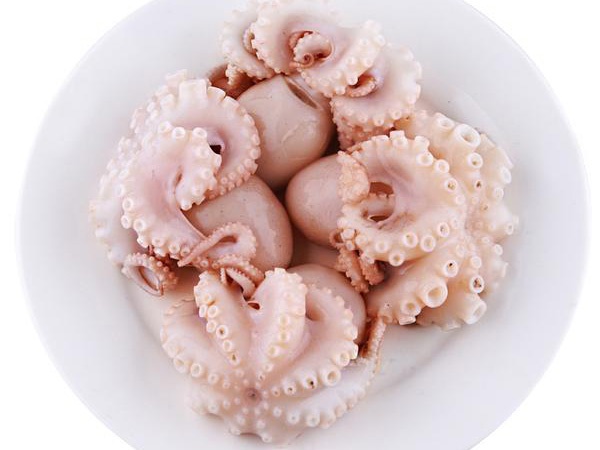 小八爪魚(yú)